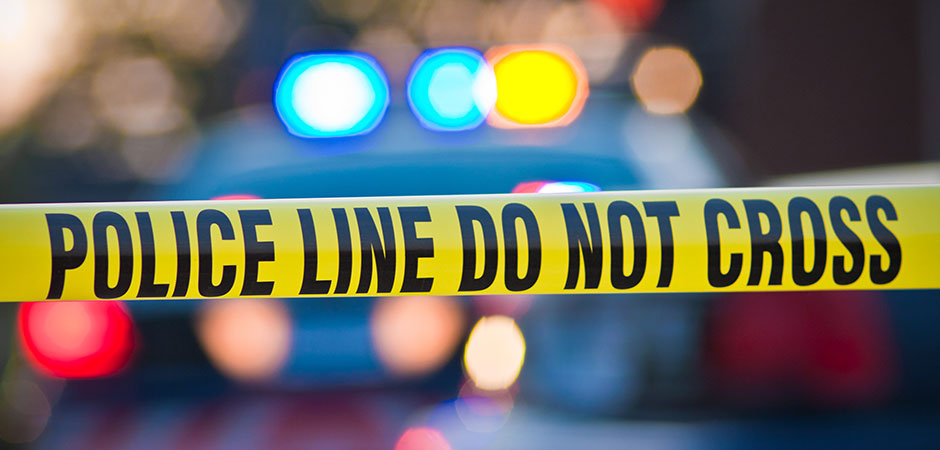 Dr. Wang, is Asia largest network of fraud